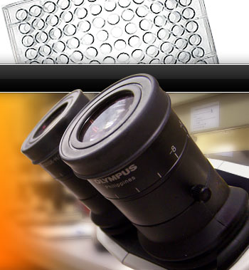Microplate & Disection Scope