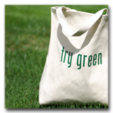 Reusable Bag