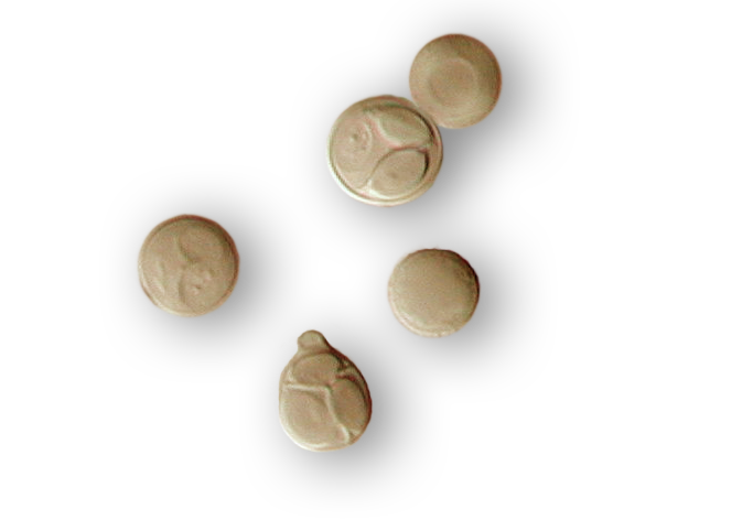 Yeasts