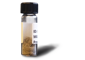 Chapter 4. Development of methods for the assessment of genotypic diversity in Penicillium