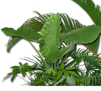 Agritech Trade Mission to Brazil