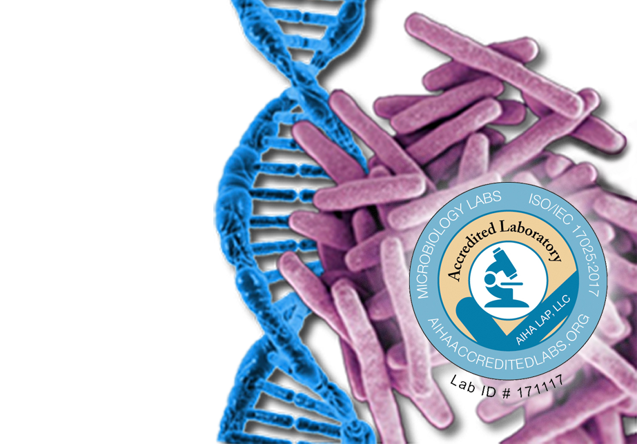 Accreditation for qPCR