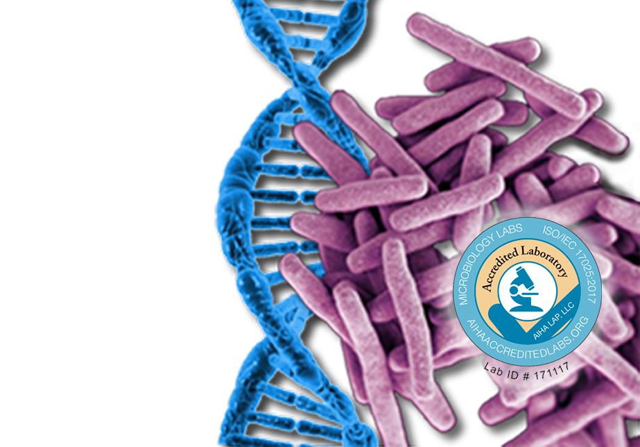 Accreditation for qPCR