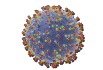 SARS-CoV-2 (COVID-19 virus) Analysis